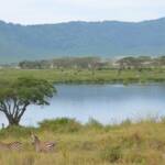 Tanzania 2025