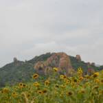 AMICIC_02_ambiente